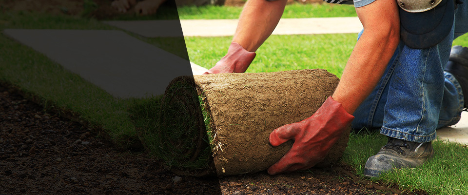 Toughkenamon Landscapers